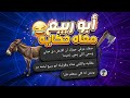 ريأكت شات أبو ربيع ارضه اتاخدت وبيدور ع اللي خدها طلع عينه مني