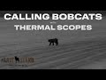 Season 5 FINALE: Calling Bobcats Across 600 Yard Field With THERMAL | The Last Stand S5:E15