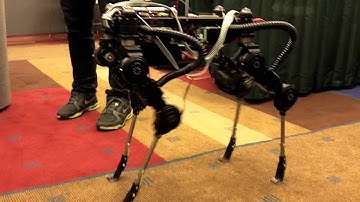 SimLab Quadruped Robot from South Korea