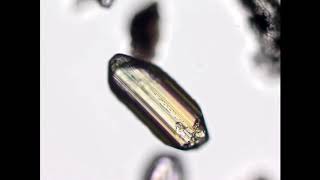 Brookite - heavy mineral strewn slide