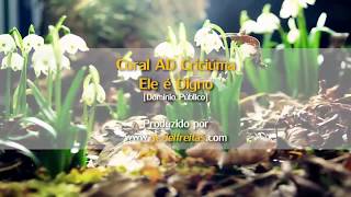 Video thumbnail of "Ele é Digno | Coral AD Criciúma"