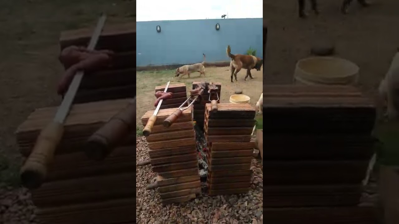 cerca elétrica para caes parte 5