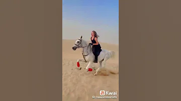 يا هلا يا هلا بالصقر 