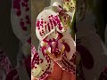 Phal. No ID 3-lips 🤍🤍🤍 #орхидеибабочки #орхідеї #орхидеи #орхидеицветут #peloric