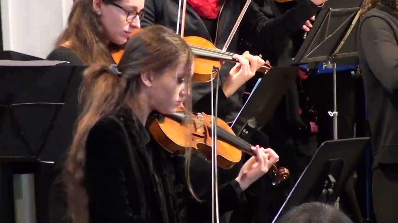 C.Fridemann "Serenade für Streichinstrumente". 3. Menuet und Trio.