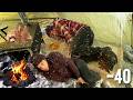 EXTREME Winter SNOW STORM -40F Solo Camping 7 Days | Snowstorms Winter Camping in Snow Storm, ASMR