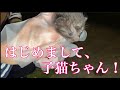 産まれて始めて見えた景色と主さんから知らされた真実。