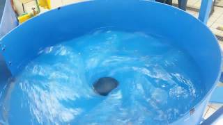 Gravitational Water Vortex Power Plant Central Hidroelctrica De Vrtice Gravitacionalyoutube Com