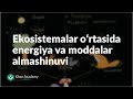 Ekosistemalar oʻrtasida energiya va moddalar almashinuvi | Ekologiya | Biologiya