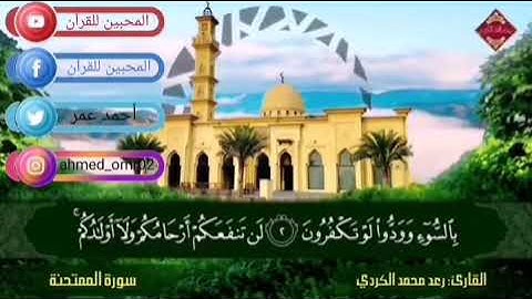 الشيخ رعد الكردي سورة الممتحنة حالات واتساب دينية