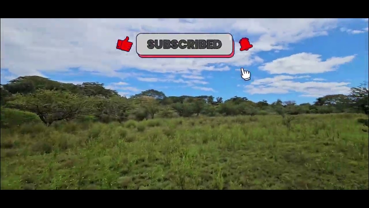 Vendo 8 manzanas 🍎 en suchitoto $96,500 negociables 