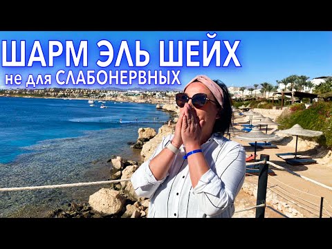 Египет 2022. Отдых не для СЛАБОНЕРВНЫХ! Шарм Эль Шейх отель Siva Sharm. Шарм Эль Шейх 2022