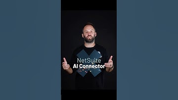 NetSuite AI Connector Service Setup