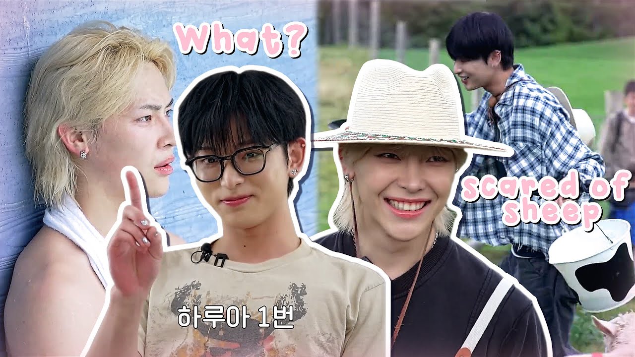 The Harulas Fortune Trip was a Fever Dream!