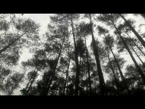 suara pikat burung kamade / seupah