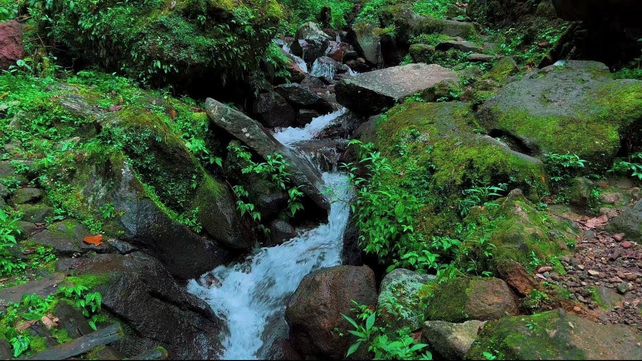 4K-HDR | Calming River Flow Ambience to Ease Stress | Natural Sleep Sounds for Deep Rest and Healing