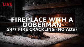 Fireplace With A Doberman Dog 🔥🐾 | LIVE 24/7 Fire Crackling Ambient Sounds (No Ads) screenshot 1