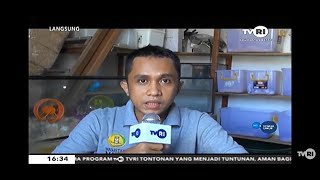 Hamster Pontianak Sampai Ke Luar Negeri