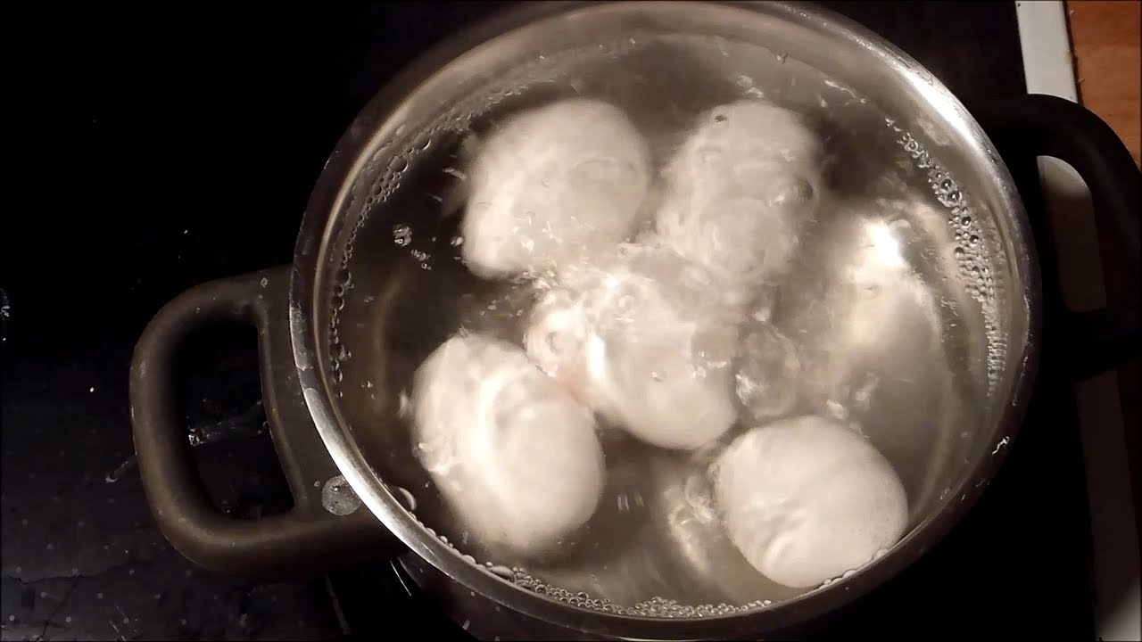Boiling Eggs #16 - December 15th, 2015 - YouTube