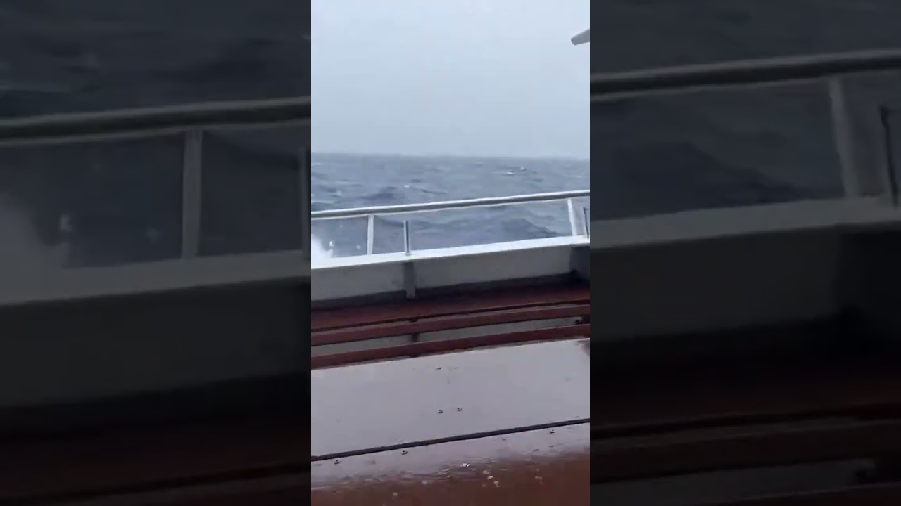 Historic Encounter – A Shark Lunges onto the Boat