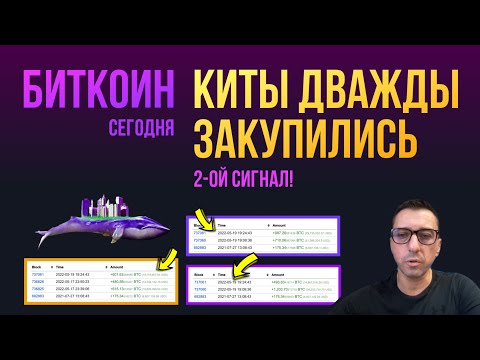 БИТКОИН КИТЫ ДВАЖДЫ