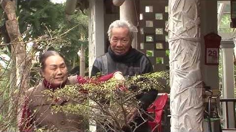 Lễ Mừng Thượng Thọ Cụ Nguyễn Trường Lưu 80 tuổi Xuân 2016