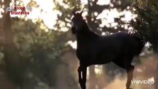 وبعيد صعب اوصلك