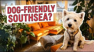 Portsmouth Weekend Break With a Dog: 48-Hour Itinerary (Where to Stay, Walks & Food)