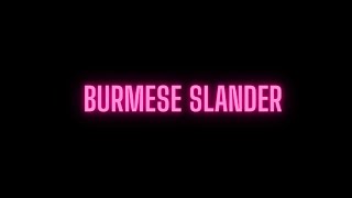 Myanmar Slander Meme