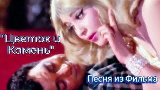 Песня  из фильма “Цветок и Камень- Phool aur Patthar” - 1966 | Русский перевод