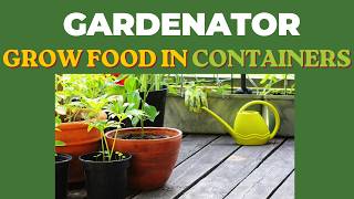 Grow Food in Containers: No Yard? No Problem!