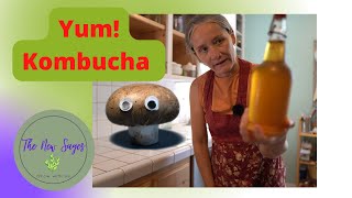 Yum Kombucha Taste Test