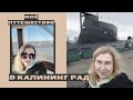 Калининград | Балтийское море | Стоит ли ехать в Калининград?