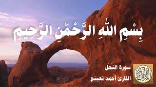 016 أحمد نعينع - سورة النحل