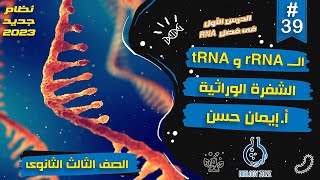 39 | شرح درس RNA وتخليق البروتين (الـ tRNA و rRNA و الشفرة الوراثية) | احياء تالته ثانوى 2023 ??✅