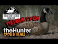 The Hunter Call of the Wild. 🦢ОХОТА НА ГУСЕЙ 🦌ХИРШФЕЛЬДЕН 🦊НАЧИНАЕМ ПРОХОДИТЬ НОВЫЙ ЗАКАЗНИК🐾