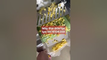 Máy thái dứa- xoài thành hạt lựu, máy thái trái cây hạt lựu dạng băng tải. Máy thái dừa hạt lựu