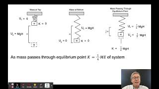 Vertical Spring-Mass Oscillators