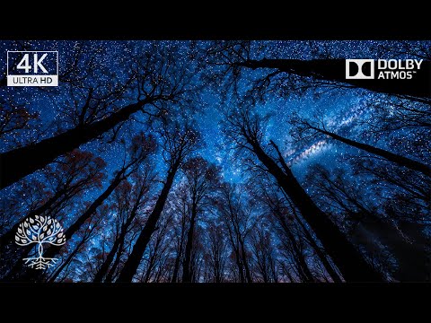 528Hz, Stress and Anxiety Relief, Detoxifying Negative Emotions, Sleep Healing