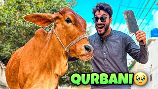 ALHAMDULILLAH BASANTI KI QURBANI KARLI? | BAKRA EID