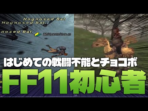 【FF11】初心者、4時間かけたアイテム集め中の悲劇…【切り抜き】