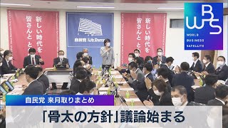 「骨太の方針」議論始まる　自民党 来月取りまとめ【WBS】（2022年5月17日）