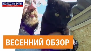 Обзор хозяйства. Весна 2019. Куры, свиньи, гуси, пчёлы....