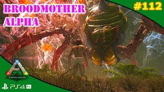 BROODMOTHER ALPHA (SOLO) | ARK [#112] | Servidor Oficial PVE