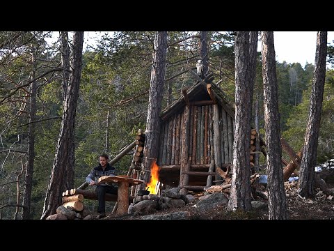 Bushcraft & Camping at the Hut - building Table and Bench, Campfire Cooking, Overnight