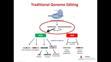 US 20201103 Free Webinar--CRISPR in Animal Model Generation