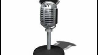 Reelect Rep Maria Ruud Radio Ad Bio