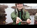 Hunting for sand dollars