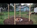 Landmann Fire Lights Pit Garden