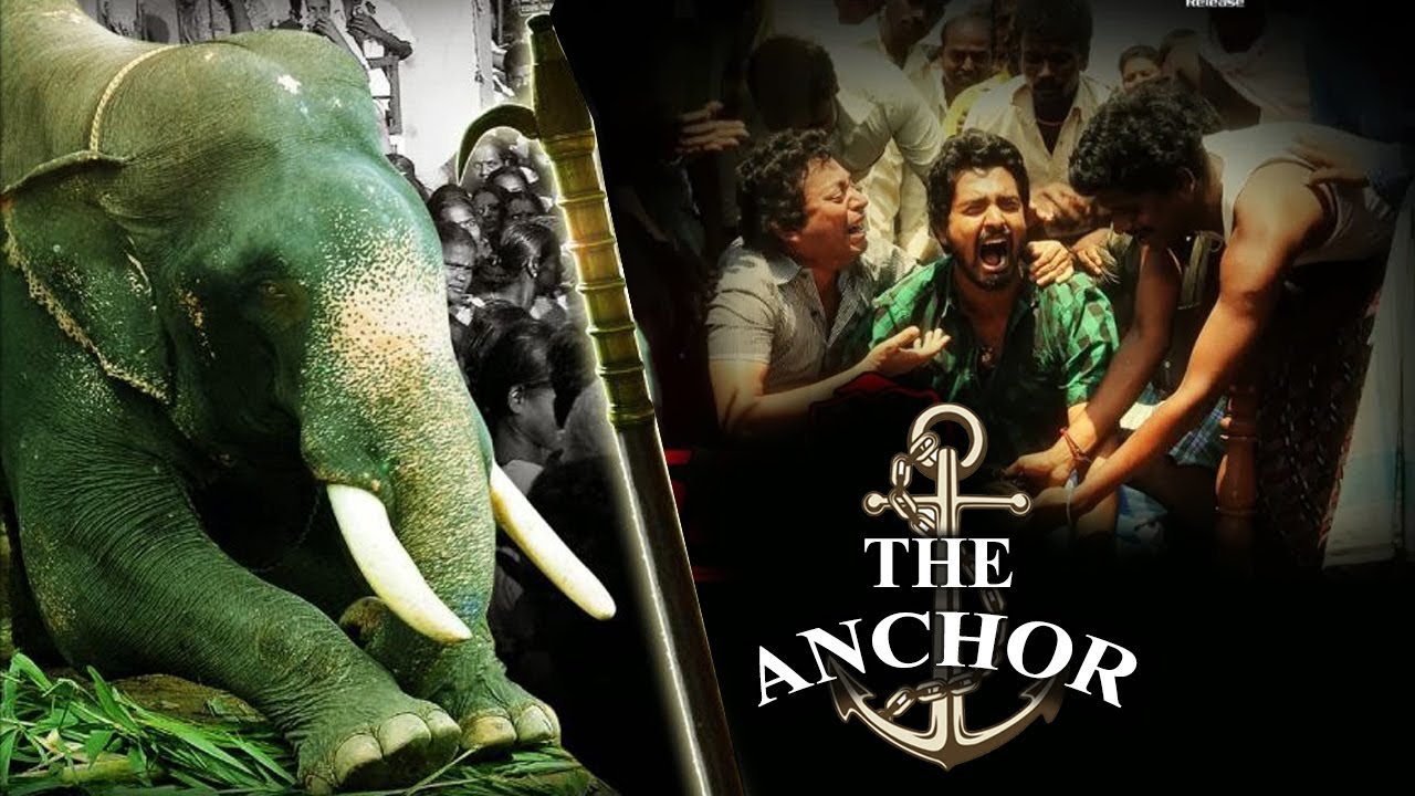 The Anchor | English Movies 2018 Full Movie | Action Movies 2018 Full Length
